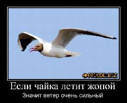  (700x565, 45 k�...)