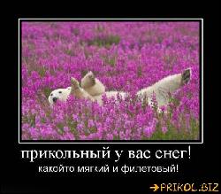  (600x525, 61 k�...)