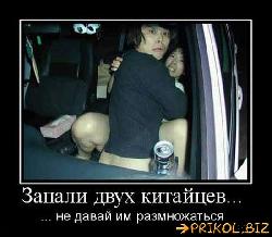  (550x479, 45 k�...)