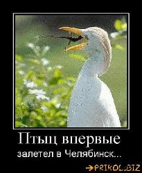  (491x600, 59 k�...)