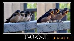  (700x387, 47 k�...)