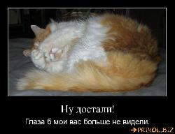  (770x590, 57 k�...)