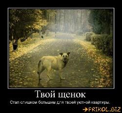  (600x554, 61 k�...)