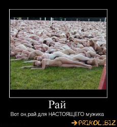  (498x540, 52 k�...)