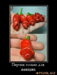  (550x716, 49 k�...)