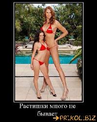  (429x540, 55 k�...)