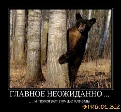  (600x555, 63 k�...)