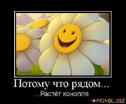  (700x575, 52 k�...)