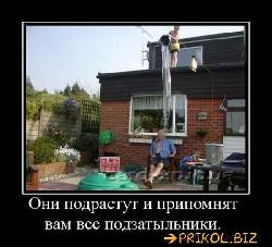  (550x498, 51 k�...)