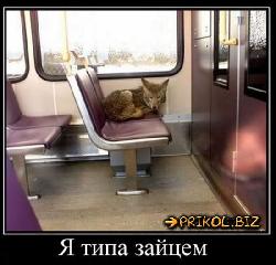  (550x526, 50 k�...)