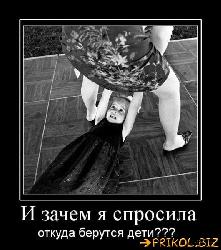  (530x600, 60 k�...)