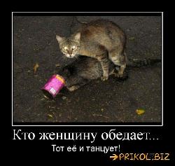  (550x520, 56 k�...)