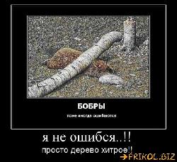  (600x549, 66 k�...)