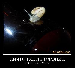  (800x727, 52 k�...)