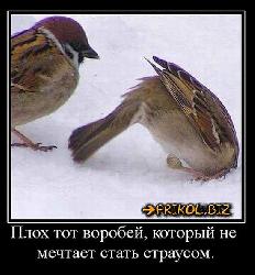  (550x592, 59 k�...)