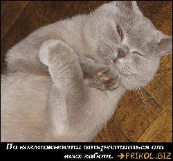  (600x555, 76 k�...)