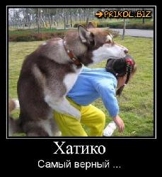  (550x602, 62 k�...)