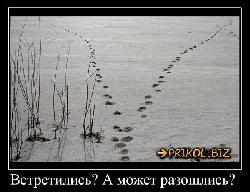  (650x497, 66 k�...)