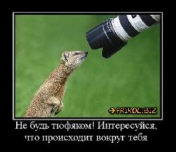  (700x602, 64 k�...)