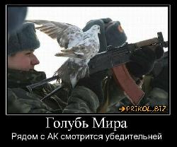  (700x582, 61 k�...)