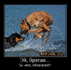  (550x540, 65 k�...)