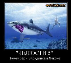  (700x621, 66 k�...)