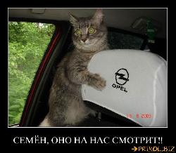  (770x671, 78 k�...)