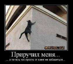  (700x621, 65 k�...)