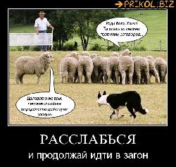  (559x529, 81 k�...)