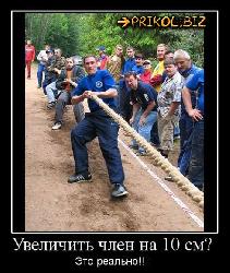  (489x580, 81 k�...)