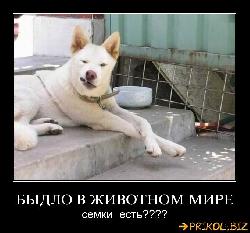  (680x632, 59 k�...)