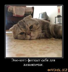  (635x672, 55 k�...)