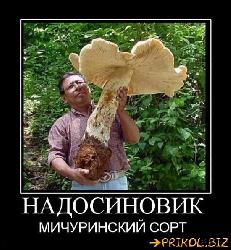  (550x596, 76 k�...)