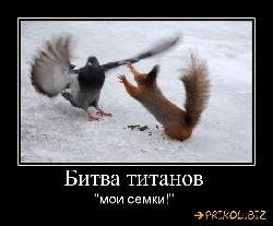  (714x589, 55 k�...)