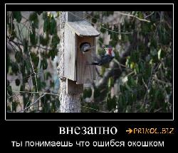  (700x603, 79 k�...)