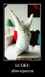  (354x600, 38 k�...)