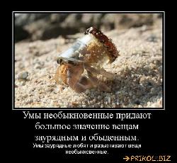  (700x643, 82 k�...)