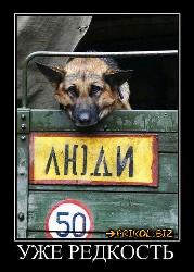  (550x772, 82 k�...)