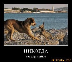  (680x589, 69 k�...)