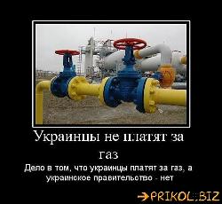  (510x468, 40 k�...)