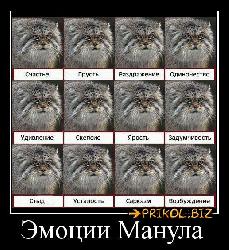  (517x565, 94 k�...)