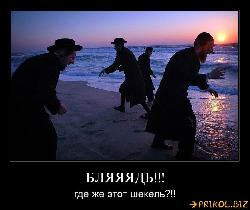  (800x670, 81 k�...)