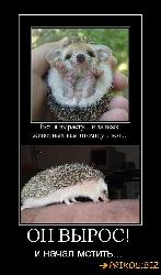  (510x870, 65 k�...)