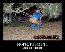  (500x403, 48 k�...)