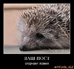  (720x669, 85 k�...)