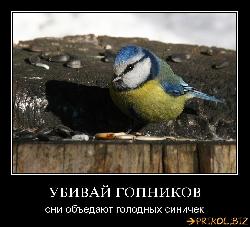  (765x693, 97 k�...)