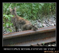  (759x685, 147 k�...)