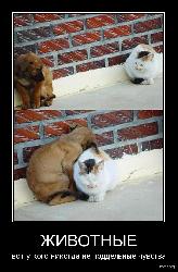  (496x758, 172 k�...)