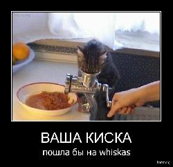  (554x535, 103 k�...)