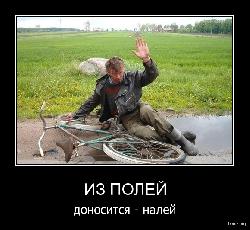  (580x532, 175 k�...)